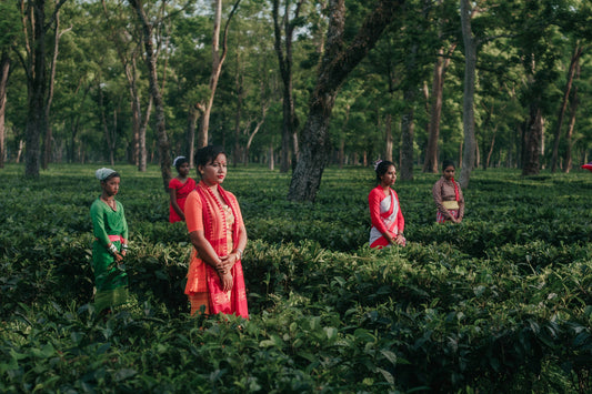 Assam Tea